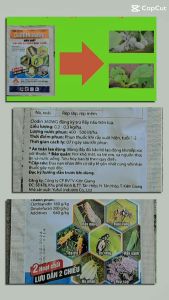 Chế phẩm sinh học Clodin 360WG Giải Pháp Hiệu Quả Trong Việc Phòng Trừ Rầy Rệp Trên Cây Trồng