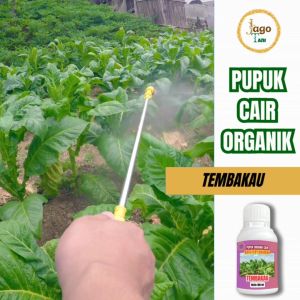 Pupuk Organik Cair Pelebat Daun Tembakau Tumbuh Lebih Lebar Hijau Segar 100 Ml Jagotani Yogyakarta
