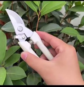 Gunting Dahan Ranting / Gunting Ranting Daun Tanaman Super Tajam Peralatan Berkebun Gunting Ranting Pruning