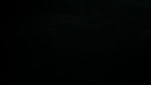 INCH-GOLD Premium Tropical Small Fish Food (Micrograin) - 100g