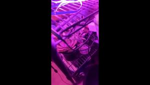 LED plant growth light strip 5V USB powered. Pinkish-purple suitable for seedlings indoor plants and greenhouse horticulture