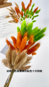 10pcs Natural Dried Pampas Grass Bouquet 60cm Dried Bunny Tail Grass for Wedding Party Home Decor