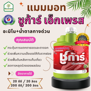 แมมมอท ชูก้าร์ เอ็กเพลส (ตราเทพวัฒนา ปลาคู่) อะมิโน+น้ำตาลทางด่วน ลดการหลุดร่วงของผลอ่อน ขนาด 4 ลิตร