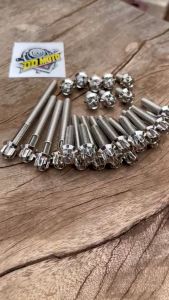 น็อตแคร้ง หัวเฟืองเลส KR150 ชุด30ตัว งานเลสแท้ ทนความร้อนสูง สวยได้มาตราฐาน