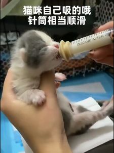 Kitten feeding nipples Silicone miracle nipples with injector for handfeeding newborn pet cat dog puppy