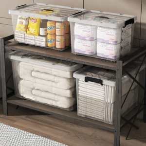 Transparent Large Capacity Storage Box