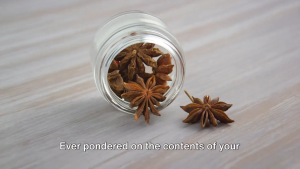 STAR ANIS / BUNGA LAWANG 100g-200g-500g (Premium Quality)