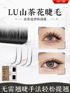 Fox Lu Cartoon Camellia Wide-Angle Grafting Eyelashes Eyelash Salon Special Single Root Take More Root Not Scattered Root SUNFLOWER
