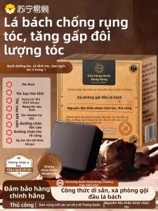 Mùa Xuân Lá Cypress Lá Ginkgo Sáp Gội Đầu Dưỡng Ẩm Cho Nam Và Nữ Sáp Gội Đầu Thảo Mộc Nguyên Chất