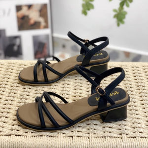 Women's Sandals: 2025 New Style Fairy Wind Thick Heel Buckle Strap