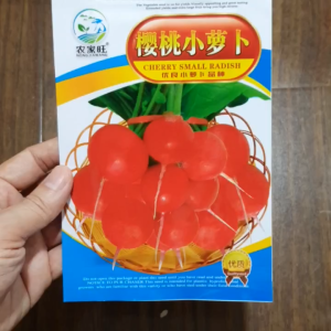 Hạt giống củ cải đỏ Anh Đào sinh trưởng nhanh củ đẹp -shop Hoang My food and beauty