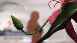 Attivolife Mom Baby Gifts Creative Wooden Picture Frames Stand Ultrasound Sonogram Best Bedroom Decor for New Mom Mother To Be First Time Friend Women Mothers Day Birthday