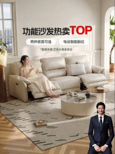 Electric Leather Sofa