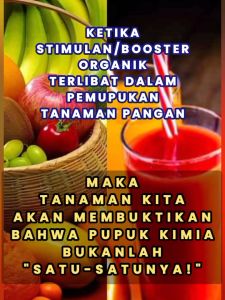 Pupuk Generatif Flower & Fruit 500 gr True Boost Formula Anti Rontok Pelebat dan Booster Buah