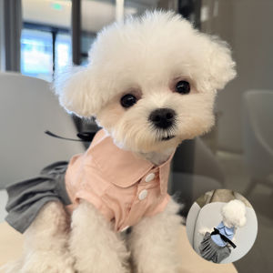 Summer Thin Dress Dog Clothes Cute Thai Style School Uniform Skirt Teddy Bichon Schnauzer Pullable Princess Style Dog Dress