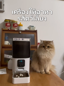 【KIJSIAM】ที่ให้อาหารสัตว์อัตโนมัติ เครื่องให้อาหาร แมว สุนัข อัตโนมัติ 3-7L ควบคุมผ่านแอป มีกล้องดูสด รองรับเสียงพูด