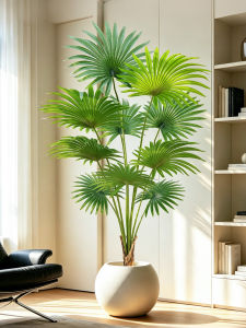 High-Quality Fan Palm Simulation