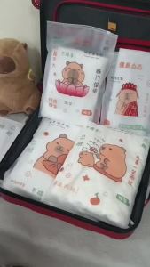 4Pcs/Set Capybara Cartoon Frosted Garment Packaging Bags Poly Zipper Travel Storage Underwear Socks Hoodie Ziplock Bag Childrens Day Gift