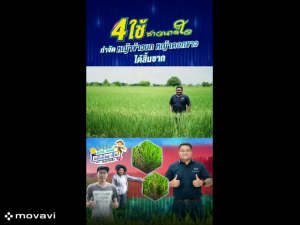 แกนเตอร์ ขนาด 1 ลิตร สารออกฤทธิ์ทั้งคุมและฆ่าในขวดเดียวกัน 1 ขวดใช้ได้ 4 ไร่