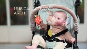 Taf Toys Musical Bunny Arch stroller toy accessory