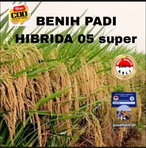 BENIH PADI HIBRIDA 05 SUPER KEMASAN 5KG
