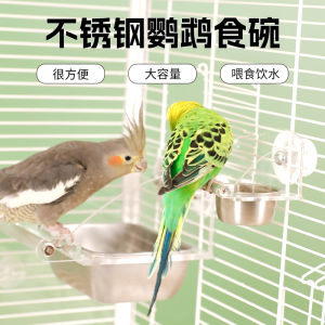 Splash-Proof Parrot Feeder Bird Food Container Feeder Water Fountain Food Can Trough Multifunctional for Birds Stainless Steel Food Container