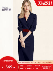 Elegant Diffie Rieger Womens Dress Slimming Waist Design Commute Friendly Style V-Neck Long Sleeve Business Casual Wear