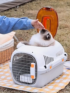 Pet Carrier Air Box Portable Cage For Cat Dog Flight Case Outdoor Carry Travel Box W Sunroof Large