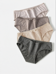 Secret World | Low Waist Cotton Briefs with Anti-bacterial and Seamless Design
