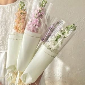 Bao Bì Hoa Hồng Hồng Tặng Ngày Lễ Tình Nhân Bao Bì Hoa Hồng Đơn Bao Bì Hoa Hồng DIY Bao Bì Hoa Hồng Nghệ Thuật Bao Bì Hoa Hồng