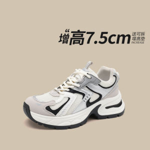 Womens Sporty Casual Shoes Spring 2025 Fashion Boosted Height Dad Shoes Thick Bottom All-Match Style Synthetic Leather