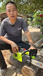 เลื่อยไฟฟ้ามือถือเลื่อยไฟฟ้าแบบพกพาไฟฟ้าบ้านขนาดเล็กพลังงานสูงแทรกเข้าสู่ระบบเลื่อยไม้เลื่อยต้นไม้ศักดิ์สิทธิ์