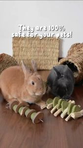[24HR SHIP] HANDMADE STRAW TUNNEL Rabbit Toys Pet Bed Rabbit Chinchilla Guinea Pig Mainan Arnab