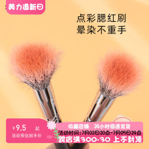Xuanyaxuan Dotted Color Brush & Wool Flat Top Brush: A Comprehensive Guide