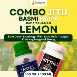Insektisida Topfarm / Obat Busuk Batang Pada Jeruk Lemon / Obat Hama Lalat Buah Lemon / Obat Hama Lemon Paling Ampuh / Obat Hama Semut Buah Lemon / Obat Hama Lemon Terbaik / Obat Tanaman Lemon