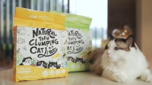 Cát Đậu Nành Vệ Sinh Cho Mèo - CATURE 6L | Có thể xả bồn cầu |Tofu