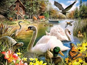 BILIBILI | Acrylic Paint By Numbers Animal Landscape Painting By Numbers on Canvas Coloring By Number for Adults Paint Digital Art
