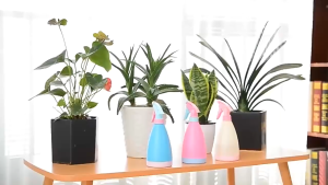 Bình tưới cây 05L phong cách Hàn Quốc xinh xắn tiện lợi dễ sử dụng