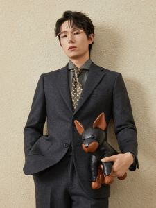 Premium Wool Blend Suits Set Gray