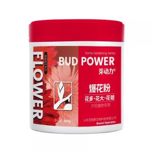 ปุ๋ยตั้งดอกไม้ในสวน เผาผลาญดอกไม้สูงในฤดูใบไม้ผลิและฤดูร้อน ปุ๋ยสำหรับตกแต่งสวนกลางแจ้งและสวนบ้าน