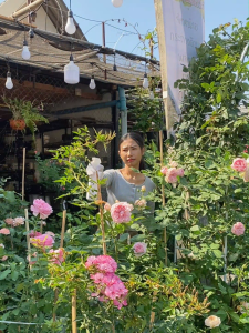 Rosy เซ็ตคู่ถูกกว่า บำรุงกุหลาบ แบบสเปรย์และแกลลอน สเปรย์หมด....เติมได้ทันที