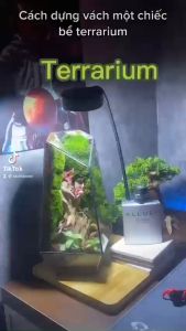 đất nền trồng terrarium sỏi nền terrarium sỏi trang trí lót nền tiểu cảnh terrarium
