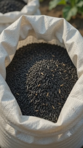 Carbonized Rice Hull IPA 5L Soil Conditioner CRH Organic Growing Medium for Plants Gardening Mix