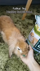 Fulikai Rabbit Food Pet Food For Rabbit Bunny Food Pet food formula for rabbits 1kg