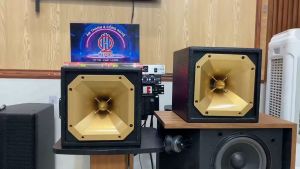 Loa Treble Kèn HM Hộp Gỗ 450W (Giá 1 Cái) Có Phân Tần Chống Cháy Loa Siêu Tép Rời HM H250T H450T