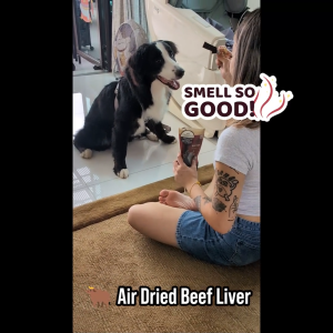 OMAKASE AIR DRIED Beef Liver Dog & Cat Single Ingredient Dehydrated Pet Treats