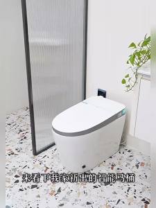 TEM | Smart Toilet AI Voice Control App Operated Integral