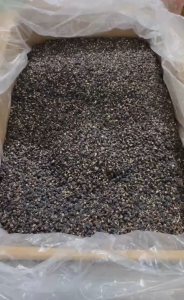 [ ẢNH THẬT ] 350gr Hắc kỷ tử ( kỷ tử đen ) Tây Tạng Sấy Khô sáng mắt đẹp da chống lão hóa