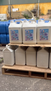 2 Can Nước giặt DGC Giang 5 kg hương ban mai dịu nhẹ giặt máy giặt tay diệt khuẩn tốt lưu hương lâu.