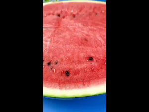 Watermelon Fork Slicer Cutter Stainless Steel 2-in-1 Watermelon Fork Slicerfor Home Kitchen